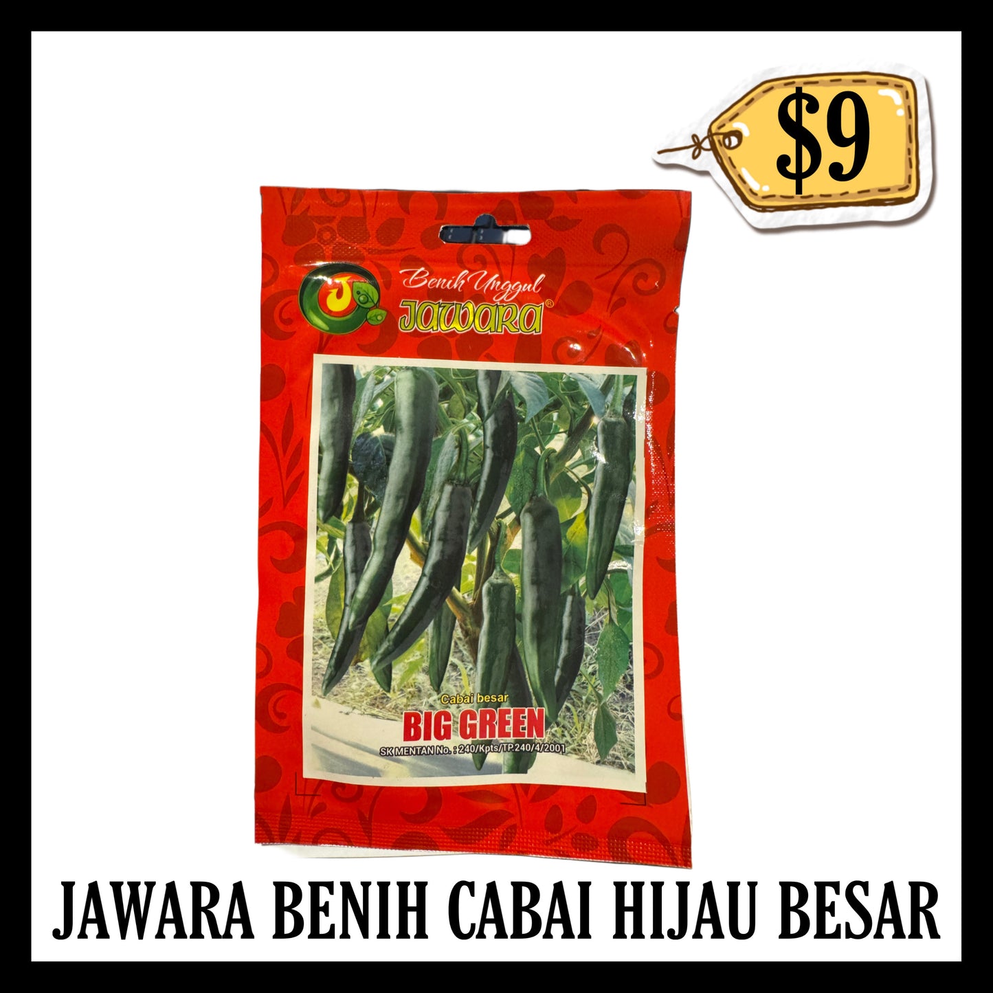 Jawara Benih Cabai Hijau Besar (BB 03 JUL 2026)